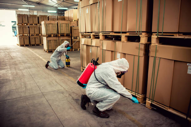 Best Pest Control Treatment  in Freeport, PA