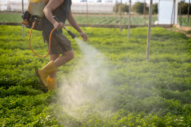 Best Affordable Pest Control Services  in Freeport, PA