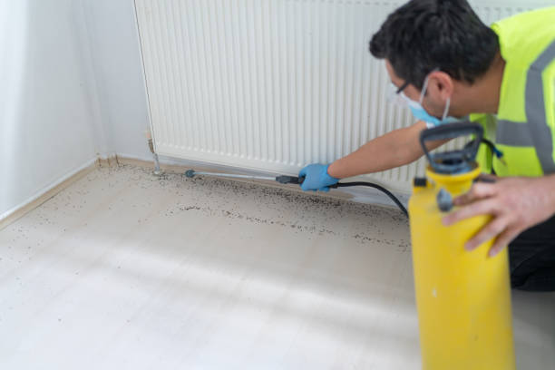 Best Bed Bug Extermination  in Freeport, PA